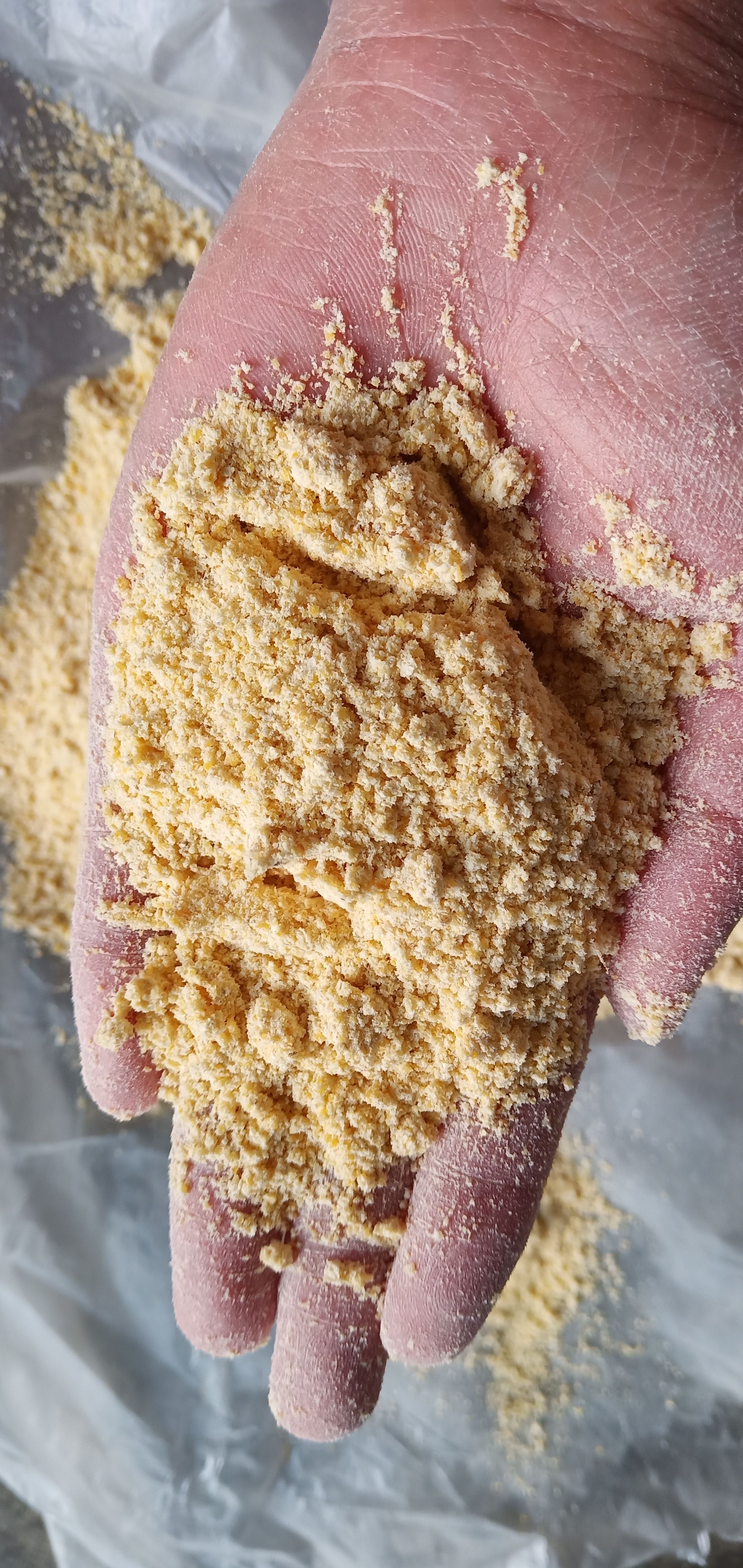  玉米面，纯玉米面猪牛羊鸡鸭鹅饲料