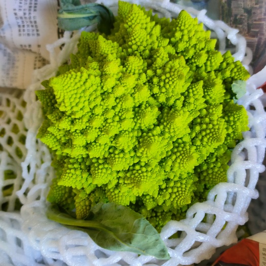 宝塔菜花  现货供应，宝塔花菜，宝塔花椰菜，基地直发