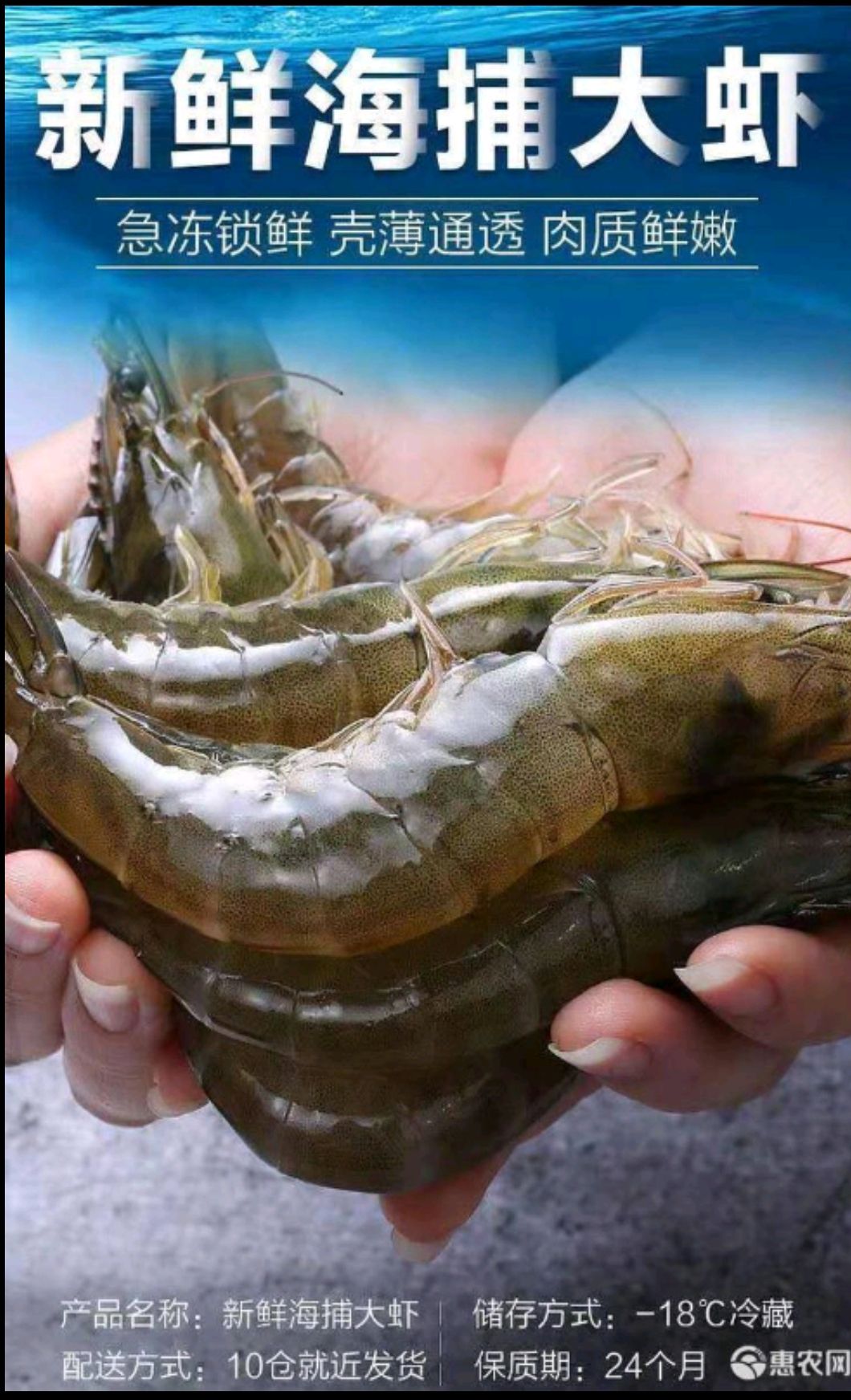 南美白对虾 新型对虾养殖场直销