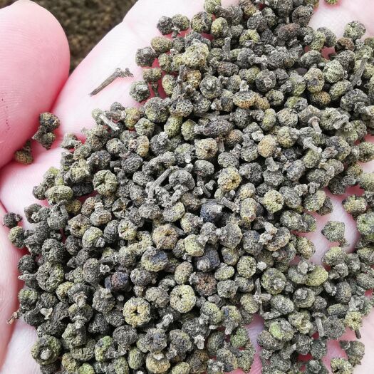 东兰县 江西中花吴茱萸