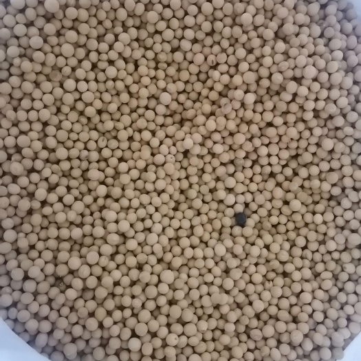 塔选黄大豆  非转基因大豆，自家小园种植，没有用农药化肥。