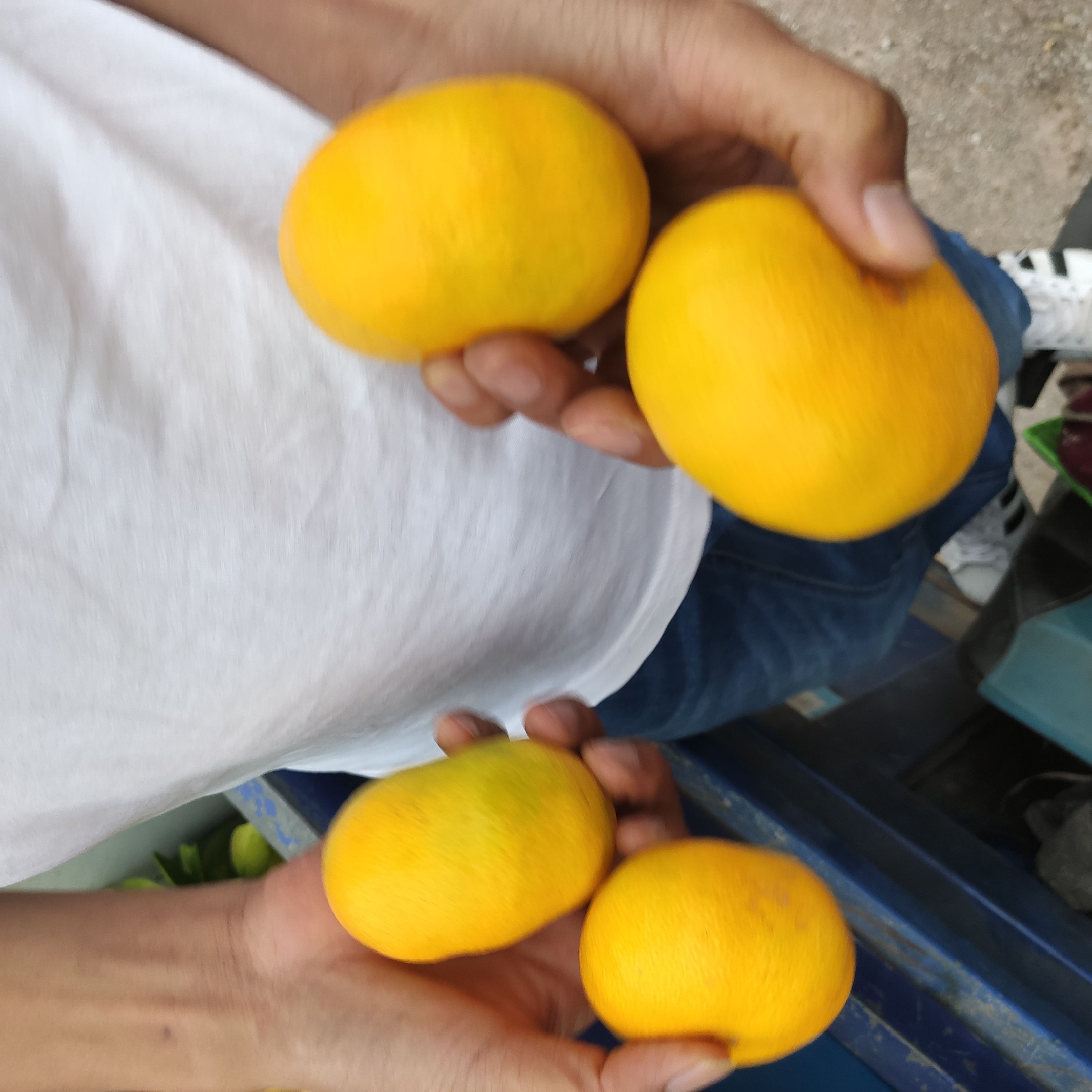蜜桔 湖北蜜橘超甜大量上市