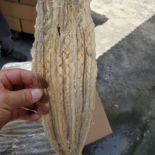 北海鳗鱼干  烧烤鱼片烧烤黄花鱼烧烤鱿鱼烧烤白鳗片