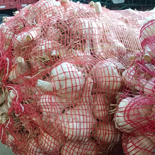 商河县优质白皮蒜 山东商河四六瓣大蒜瓣
