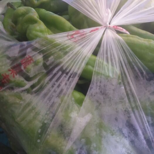 太康县 青泡椒，线椒，黄皮椒，
