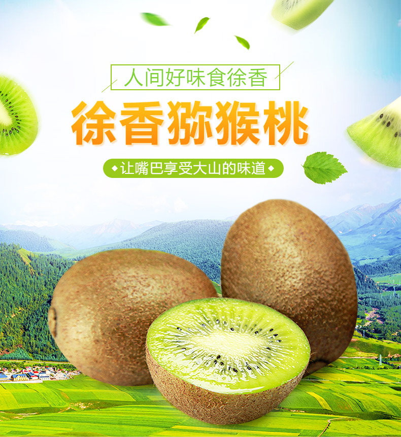 8亩徐香猕猴桃成熟开园，4万斤果实左右，个大皮薄