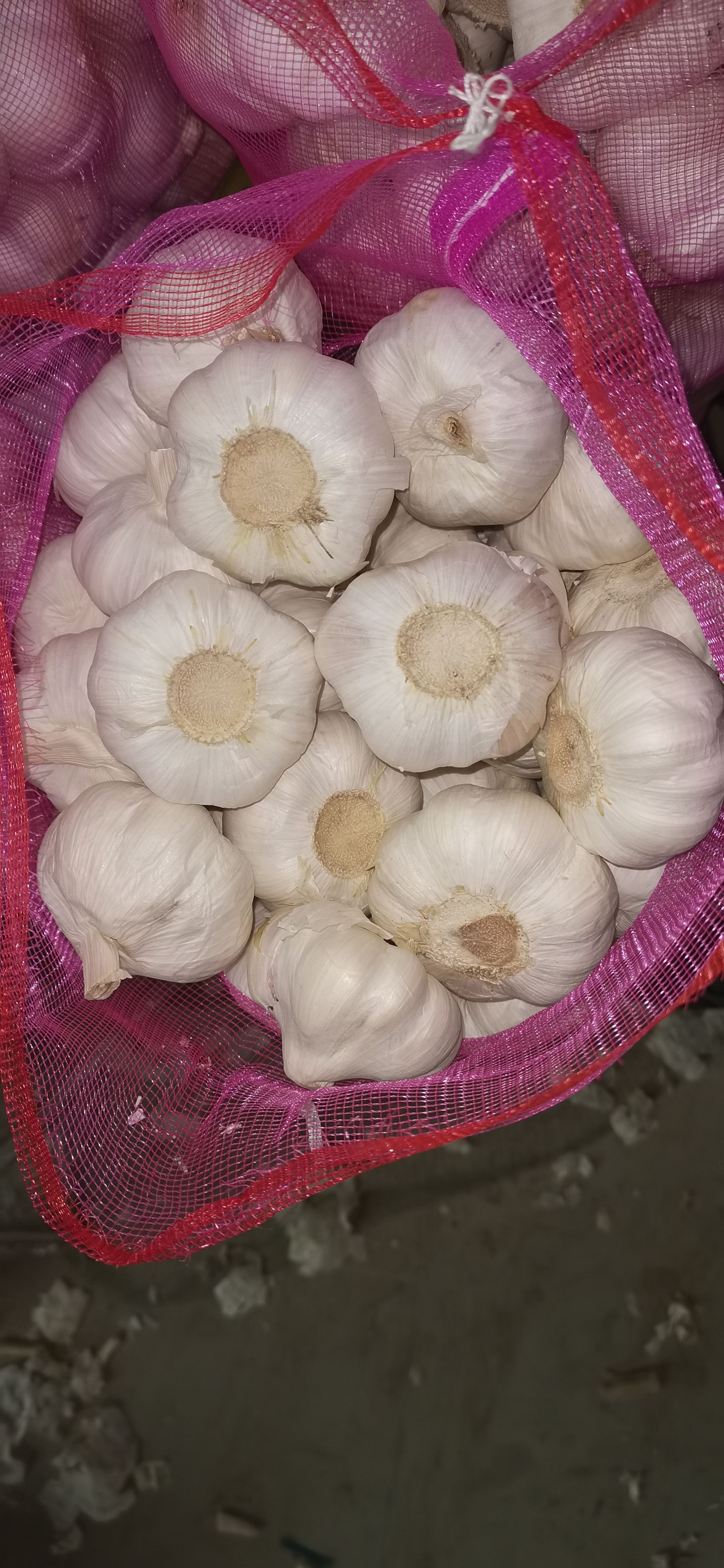 白皮蒜 山东金乡白皮大蒜