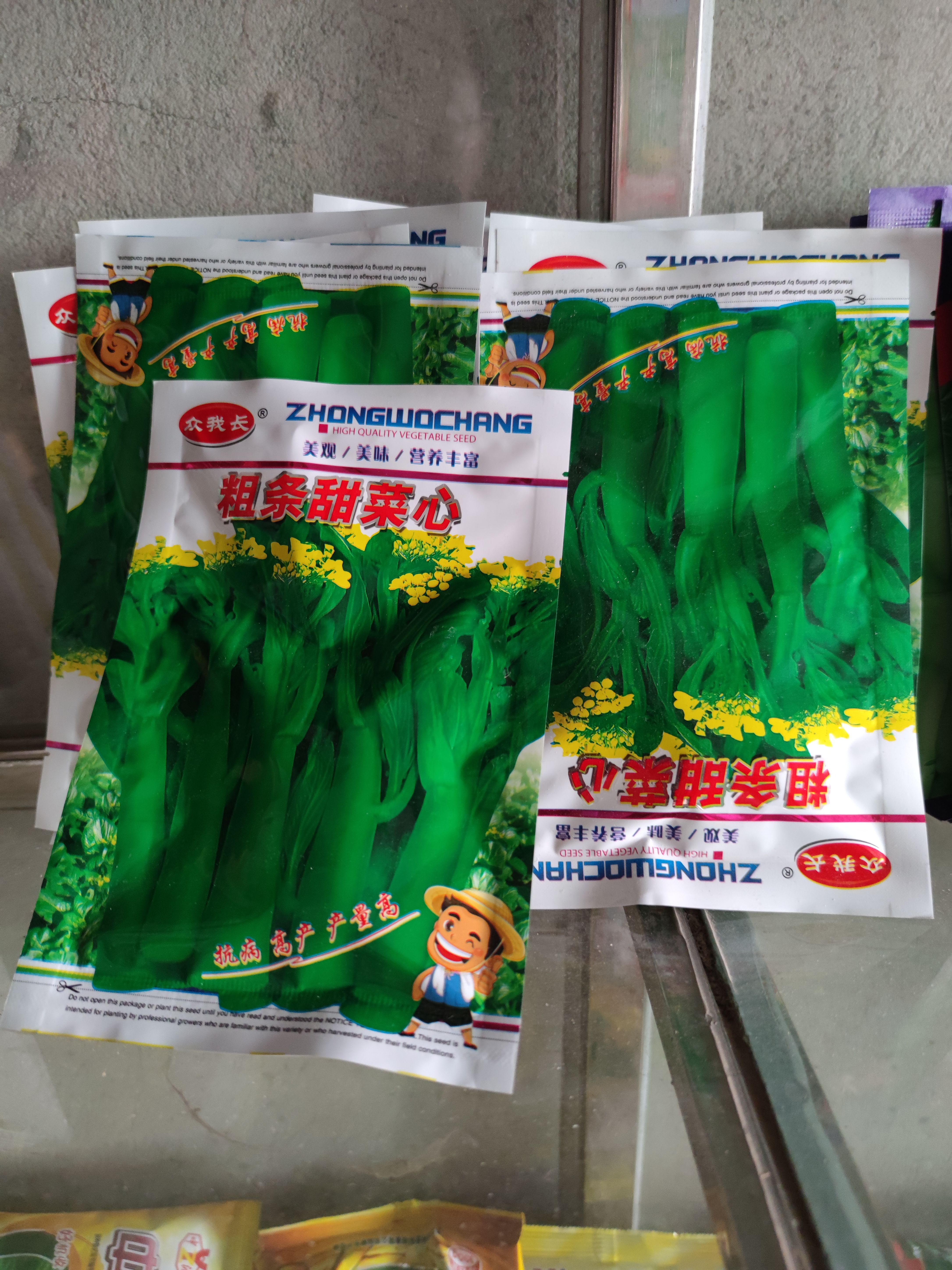 粗条甜菜心种子菜苔种子可连续收割28天到38天