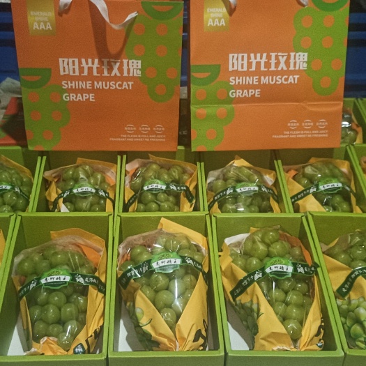 阳光玫瑰葡萄