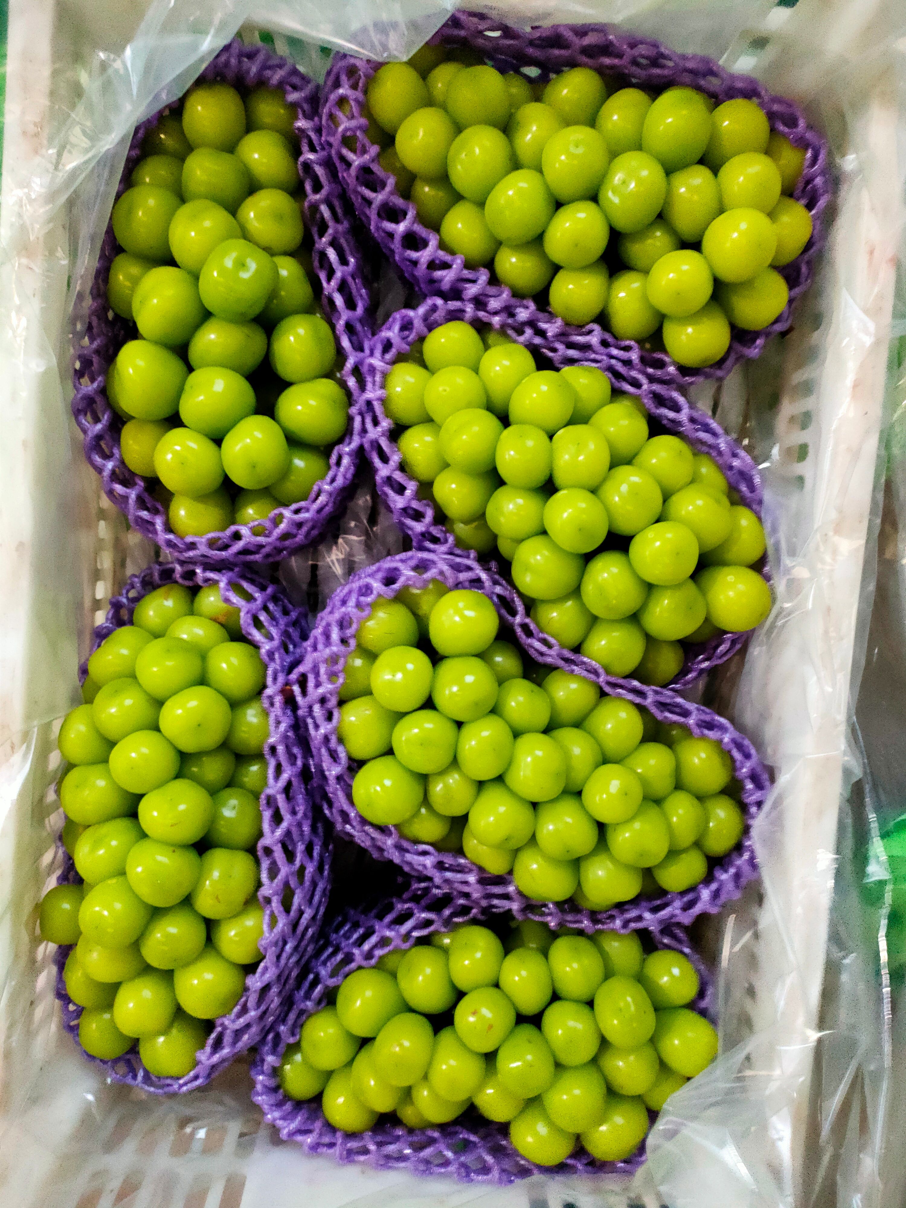 阳光玫瑰 葡萄 晴王 各种包装 产地直供