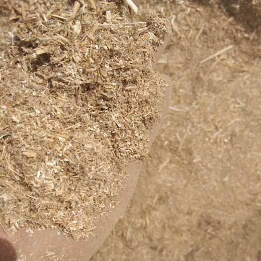 濉溪县麦糠  麦灰，麦 土，麦，糠
