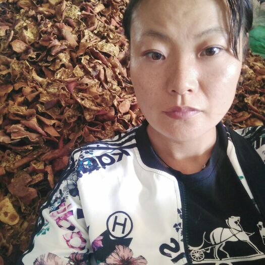 蒙自市 石榴皮