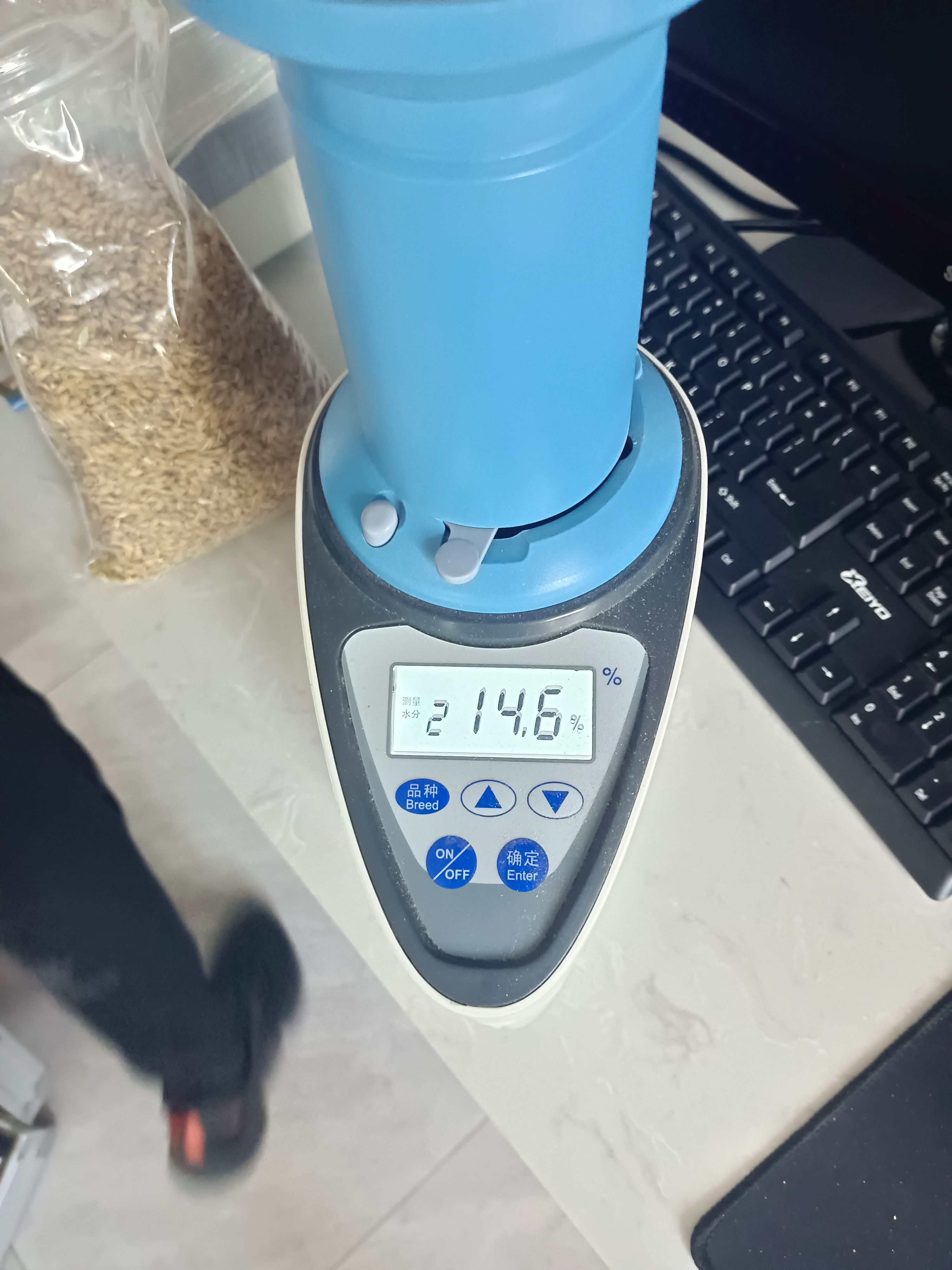 大麦（俄罗斯）加工白酒加工饲料好原粮