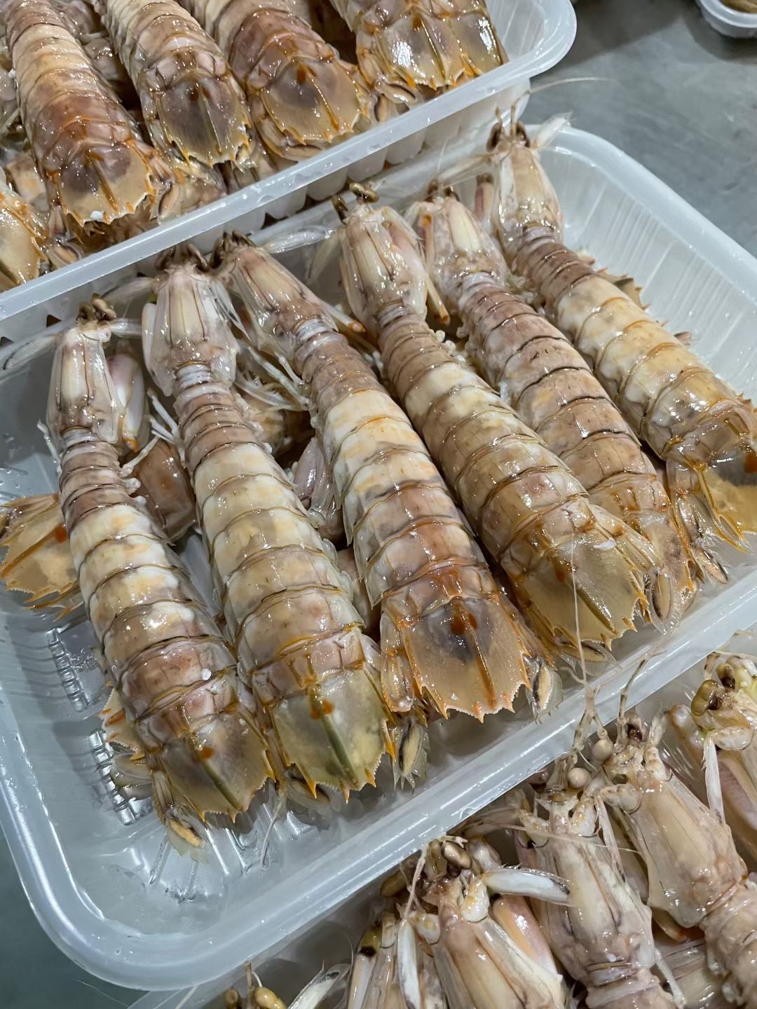 皮皮虾 爬爬虾 虾姑 批发 全国物流发货