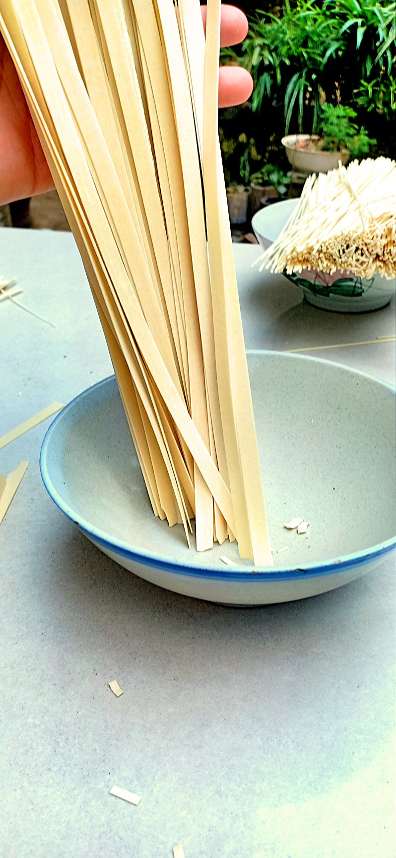 跑山鸡蛋面  中粗面
