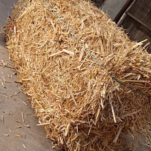 乌前旗 玉米秸秆草