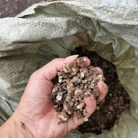 阳西县 纯鸡粪，纯小鸡粪，可做鱼料