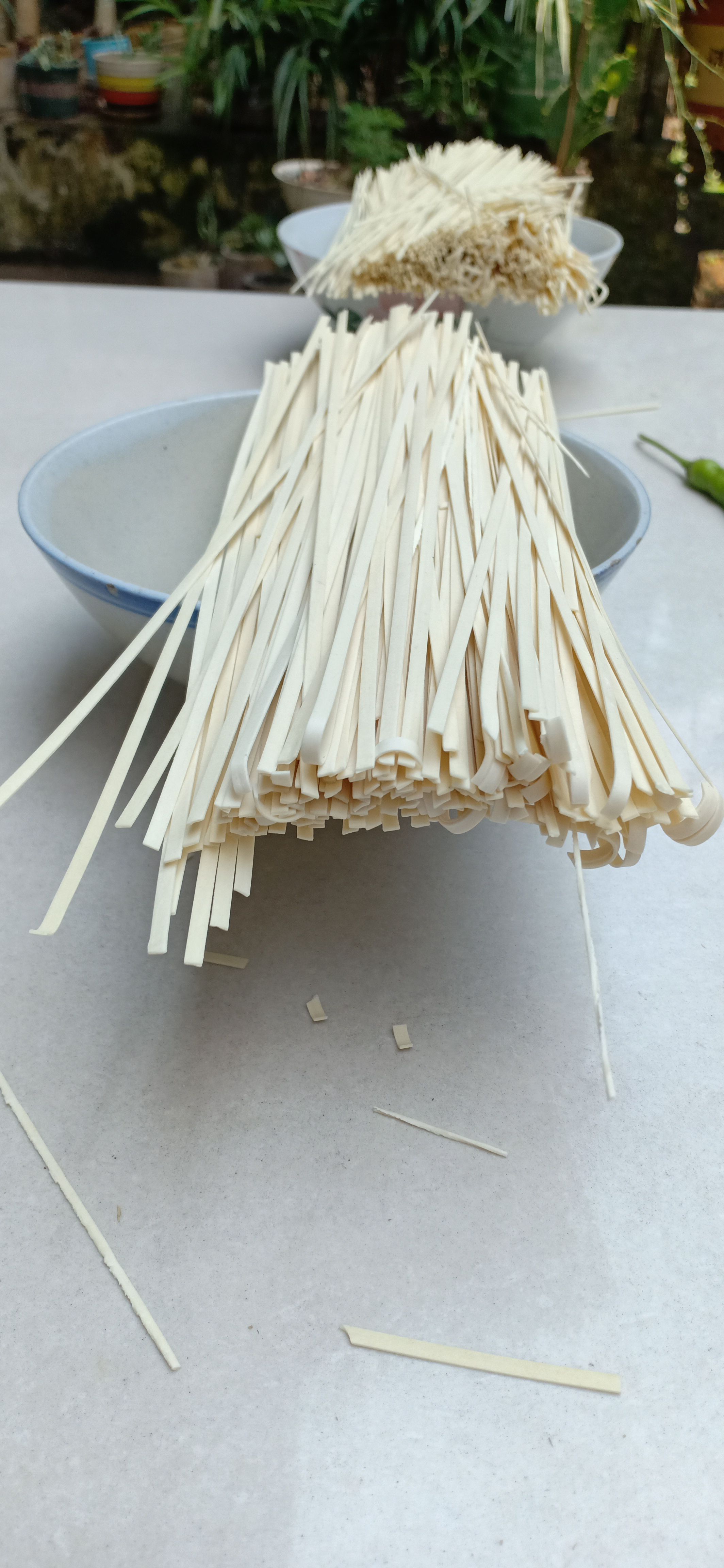 跑山鸡蛋面  中粗面