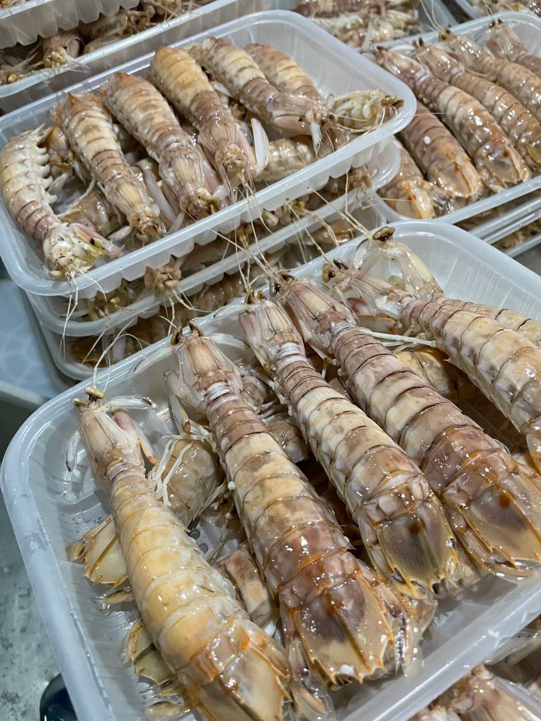 皮皮虾 爬爬虾 虾姑 批发 全国物流发货