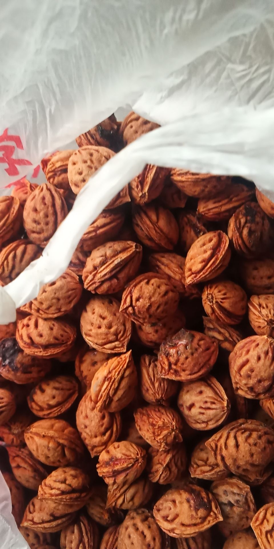 桃树种子  毛桃种子，毛桃核