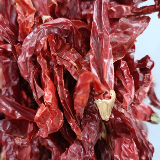 临颍县二荆条辣椒 特点香辣