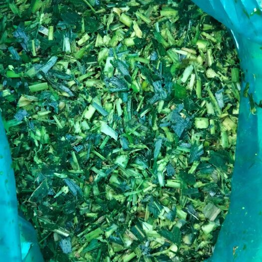 上犹县专业玉米杆青储料十年，方包压包保存时间长，冬季必囤