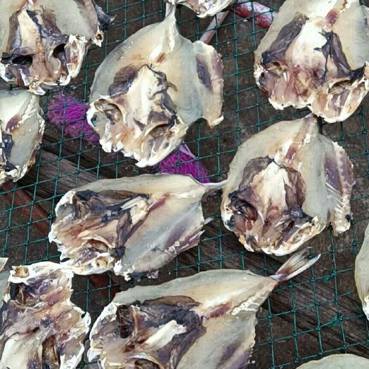 遂溪县 鱼干   需要的再聊价