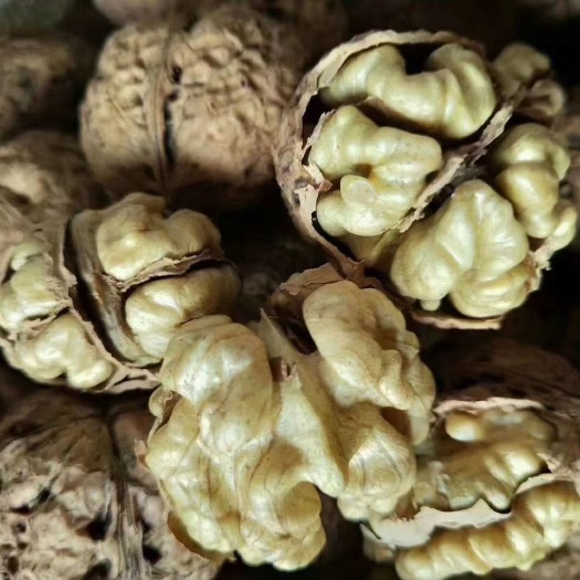 凤庆县泡核桃  云南麻皮核桃