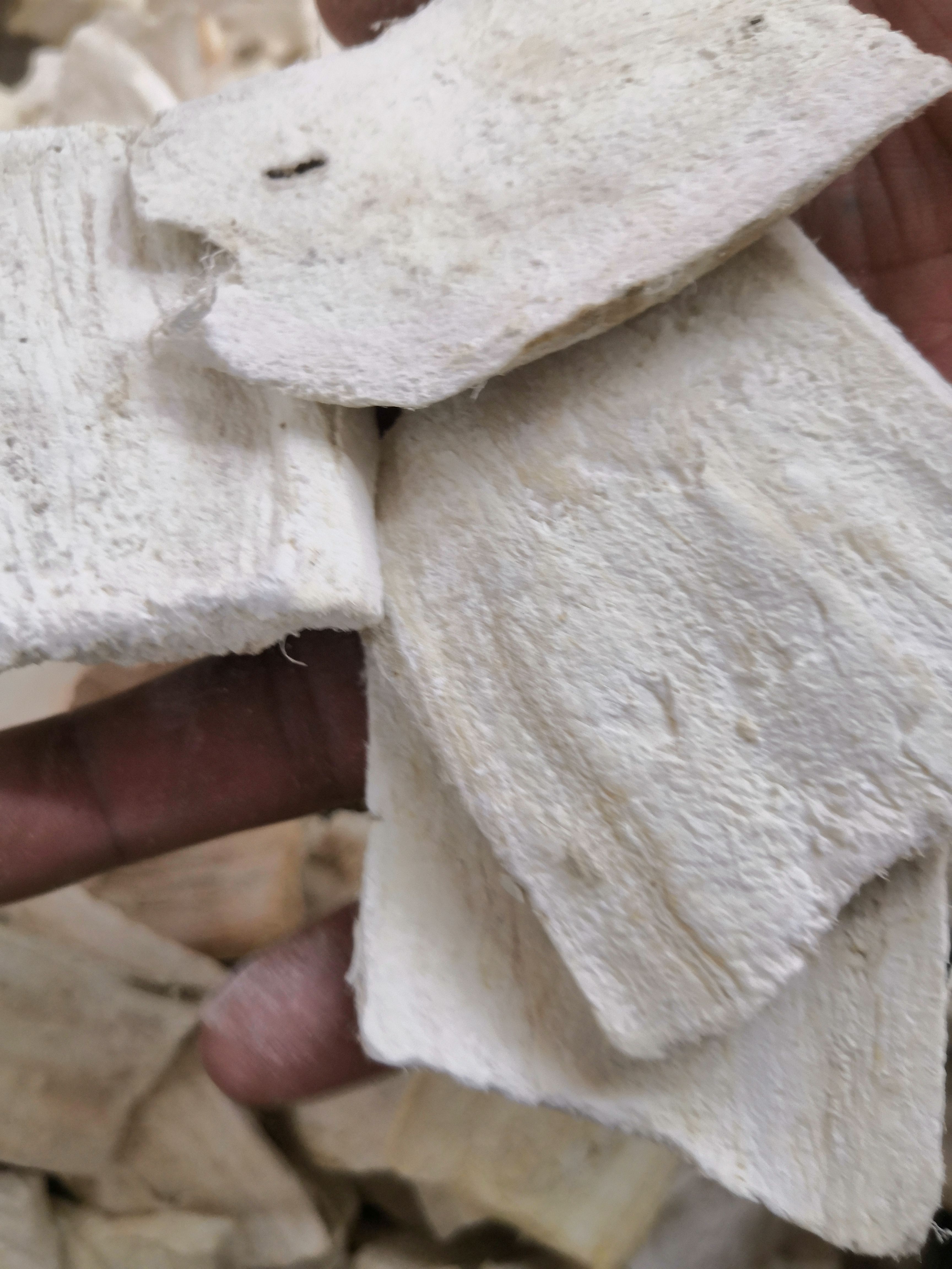 粉葛  葛根片，种植的，纯白色