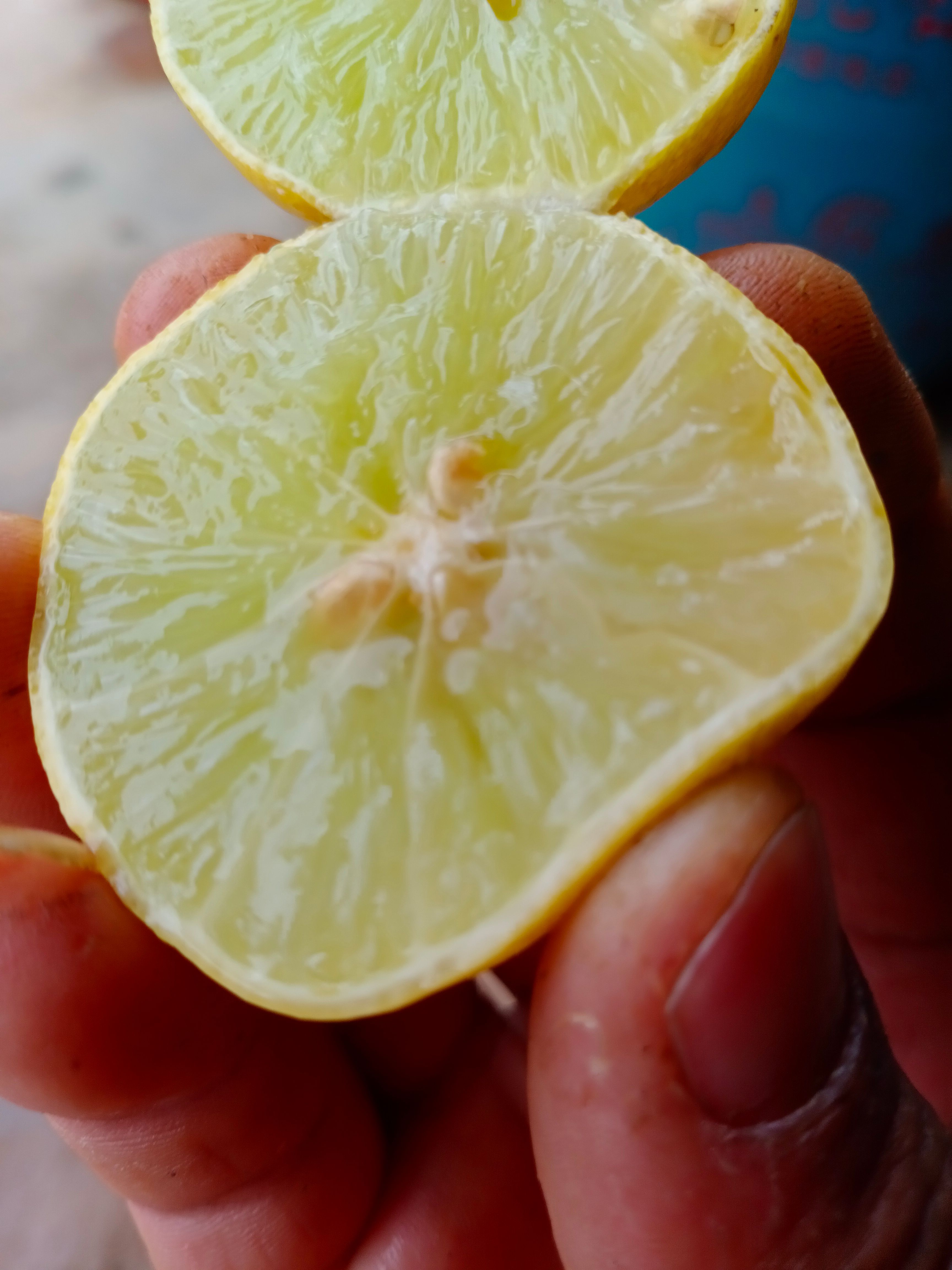  柠檬