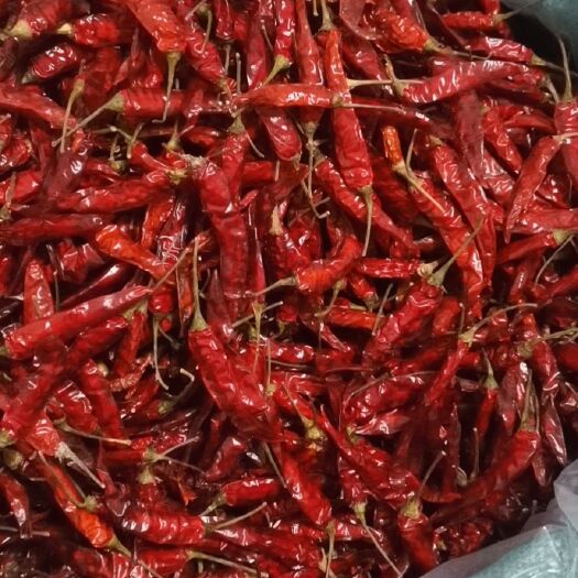 德阳小米椒干辣椒 