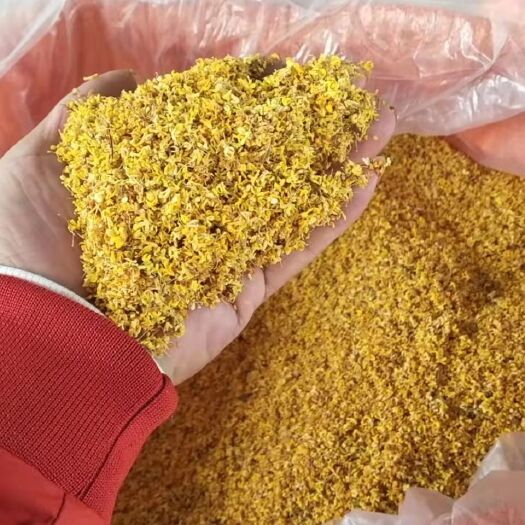 阳朔县桂花瓣  干桂花