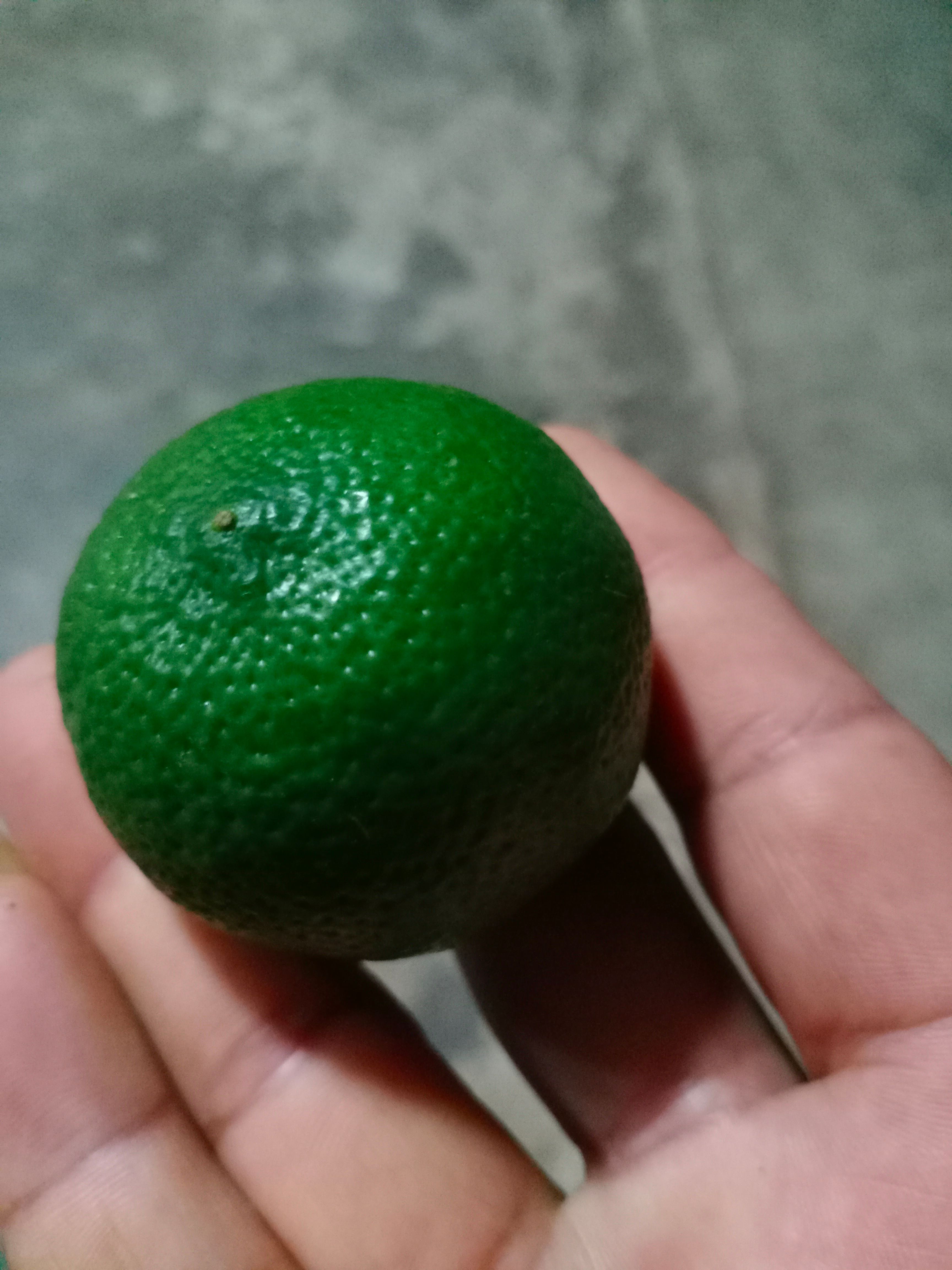  柠檬