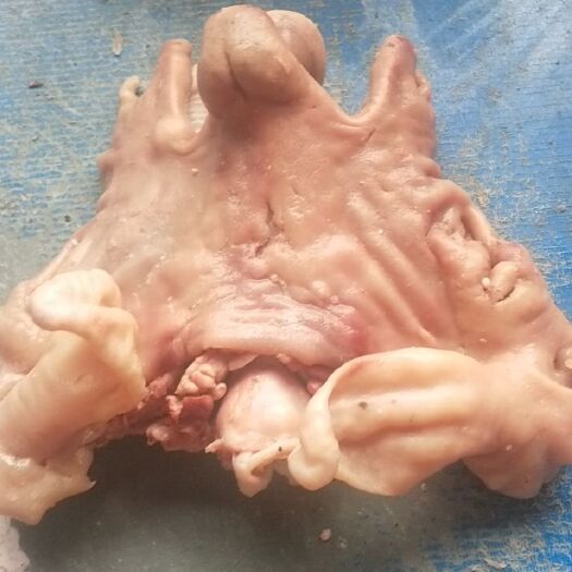 全熟无骨水煮羊头肉，羊眼睛，鲜羊脑，羊蹄等