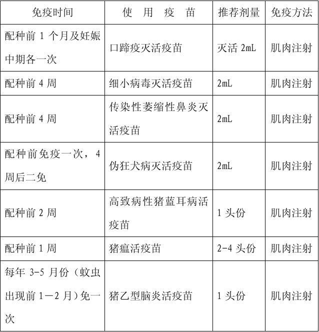 太湖猪，原种高产母猪