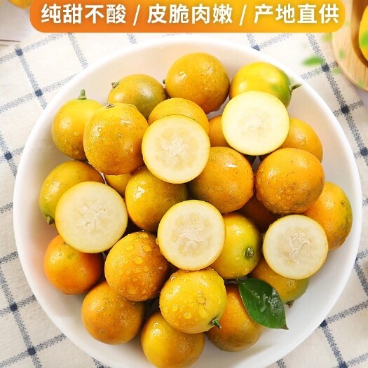 阳朔县阳朔油皮金桔，肉厚、脆甜、饱满、多汁，口感顺滑，香甜不腻。