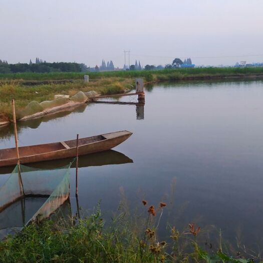 安乡县水产养殖用地  水产鱼池租赁。交通便利，设施齐全，捡手即可经营。