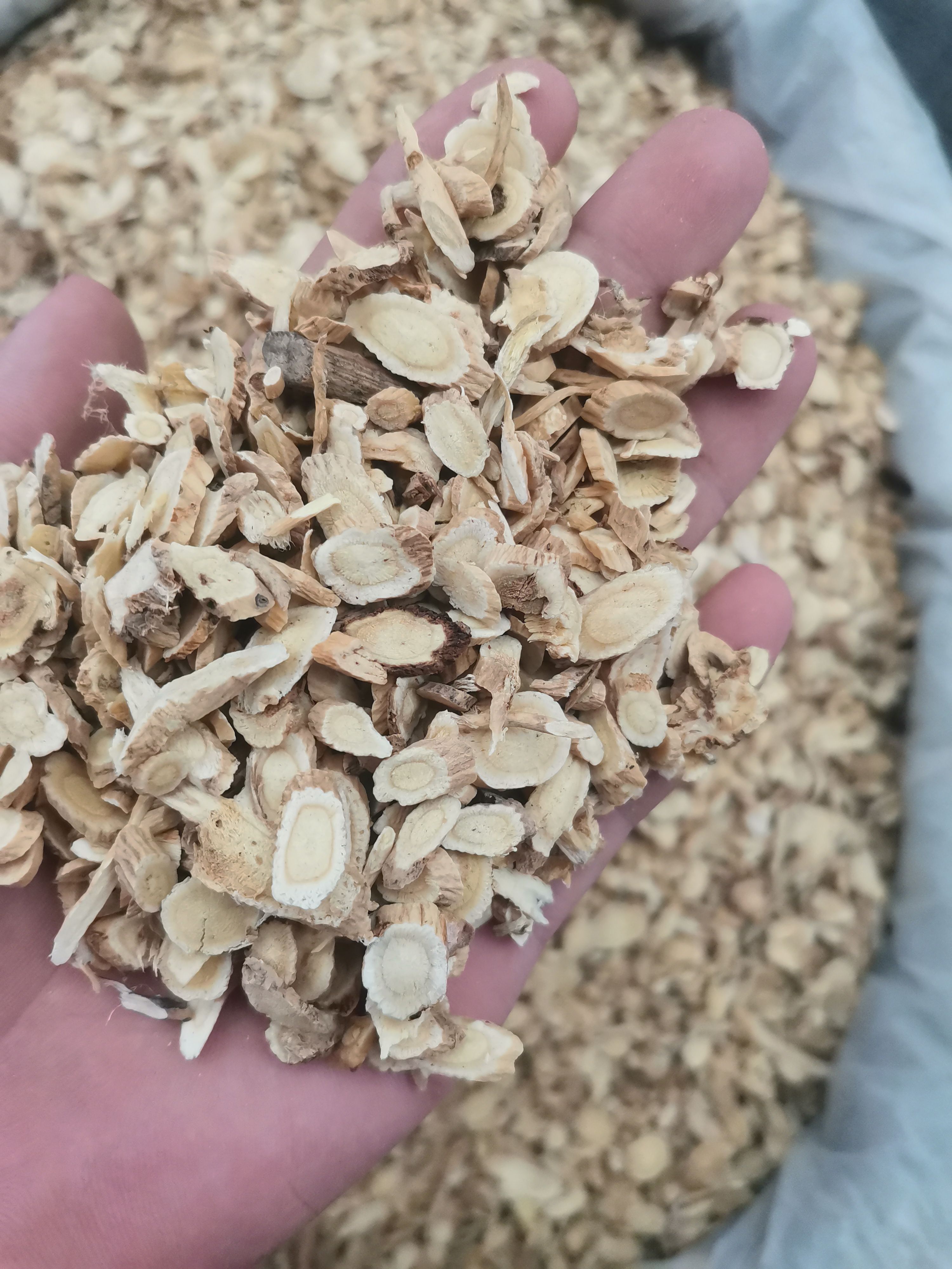 白皮芪   黄芪   统货