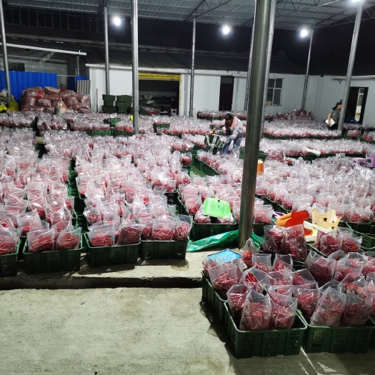 镇雄县线椒  3号红泡椒大量有货，需要的老板联系我