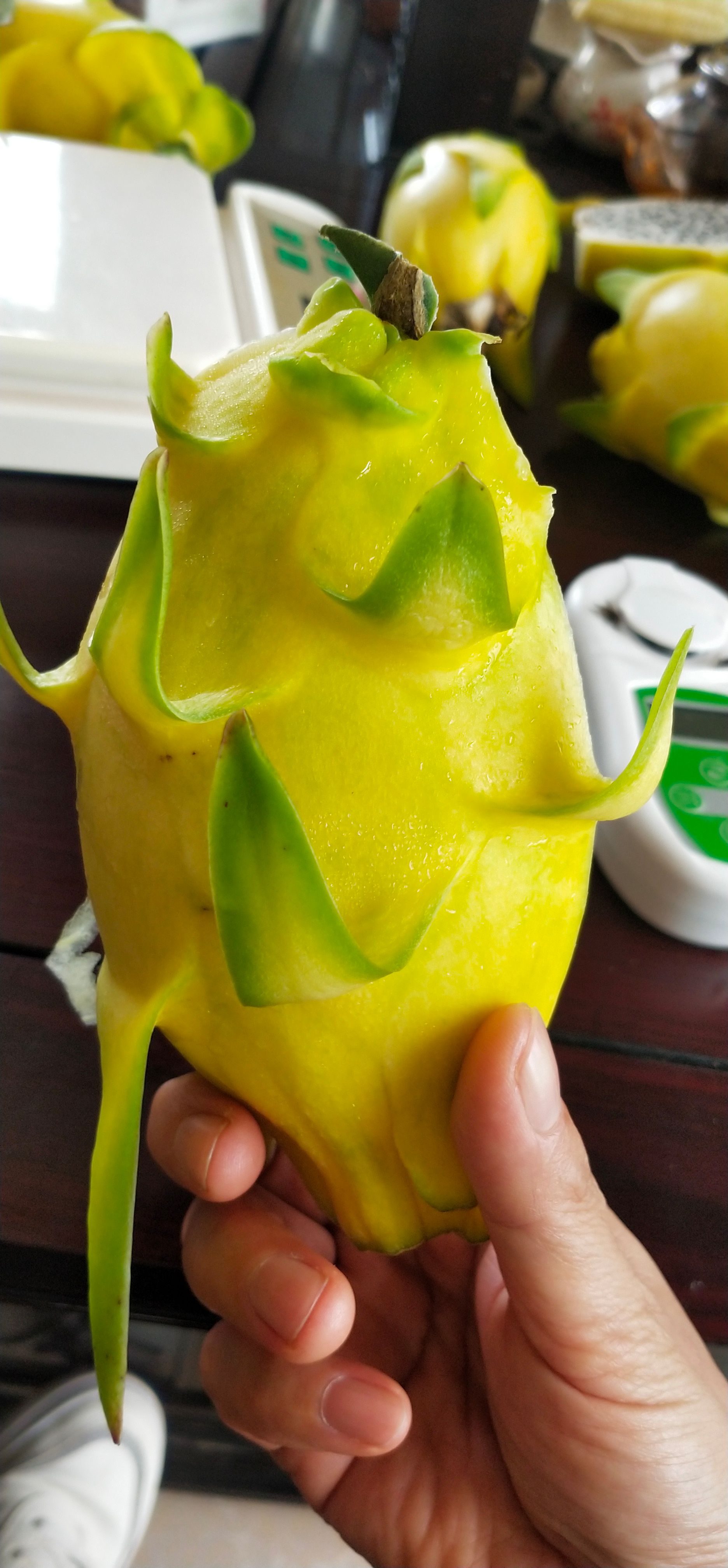 黄龙果
