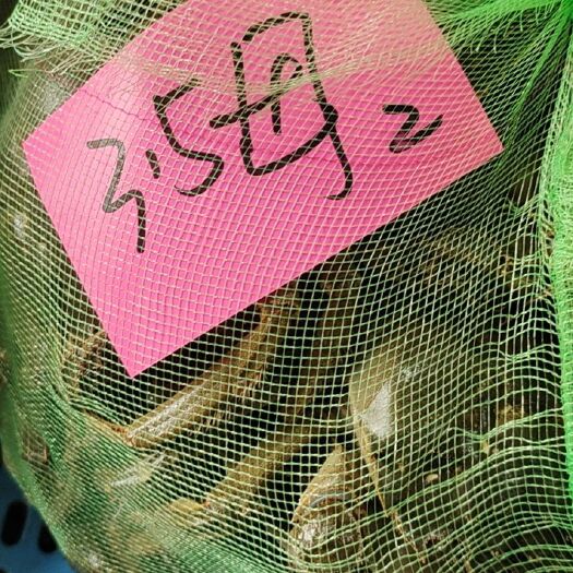 兴化市 锦浩水产大闸蟹 5公4母