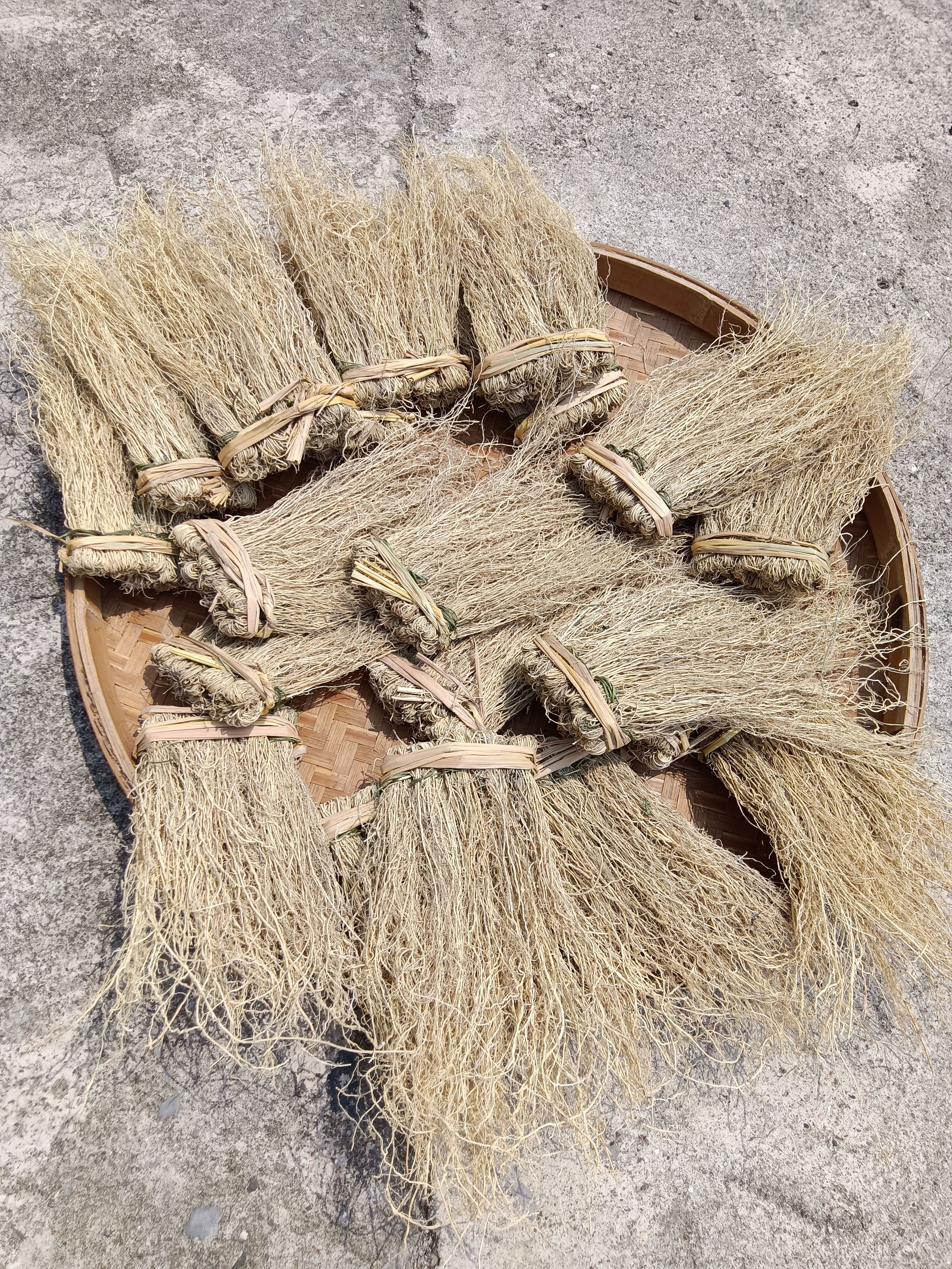 龙须草  养肝草，小包装，一包10小扎一件
