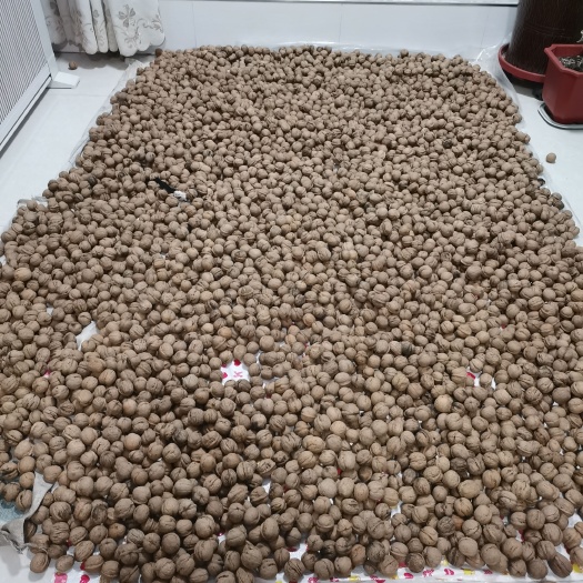 自家生产的优质已脱皮绵核桃，肉厚，口感细腻柔软。湿