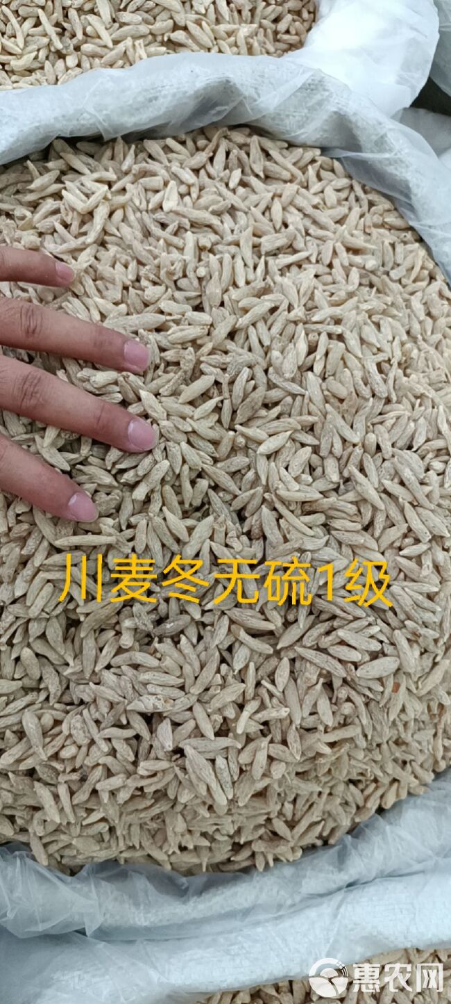 四川麦冬批发 产地货源 常年供货，可批发可零售