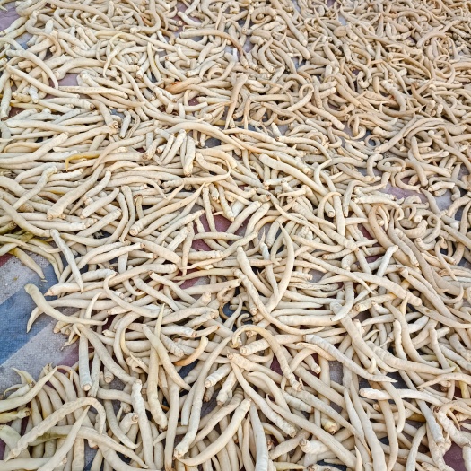 华容县正真自制白辣椒，香脆可口