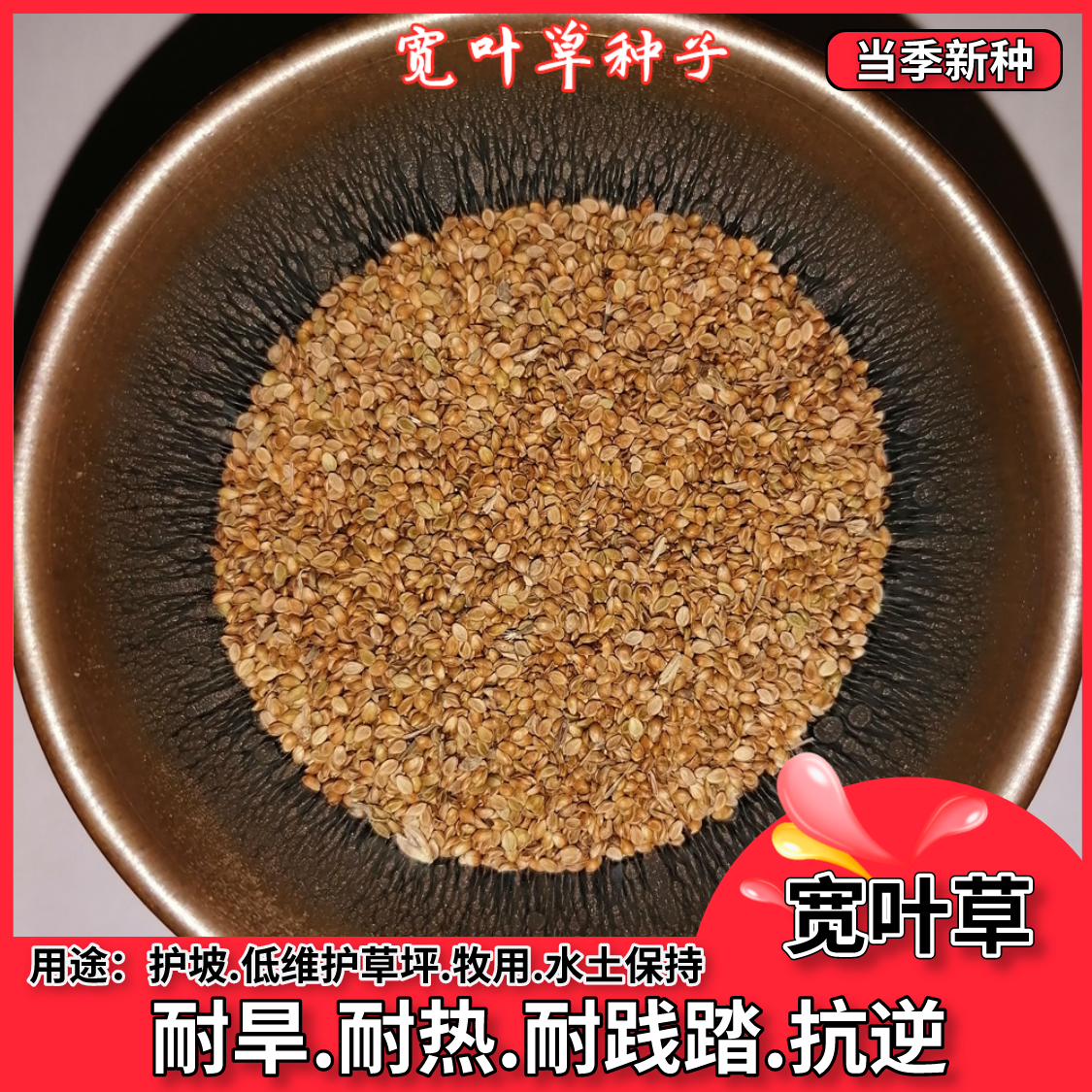 宽叶草种子美国百喜草种籽宽叶雀稗护坡绿化畜禽牛羊鱼兔牧草草种