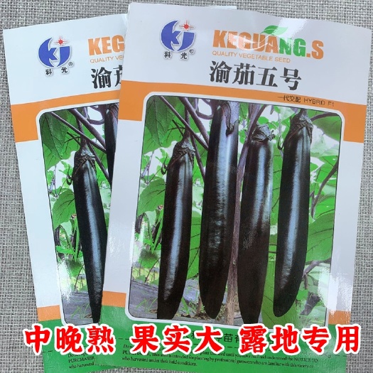 绵阳长茄种子  渝茄五号茄子中晚熟种籽种孑长茄子茄籽种孑四季春夏秋季露天菜籽