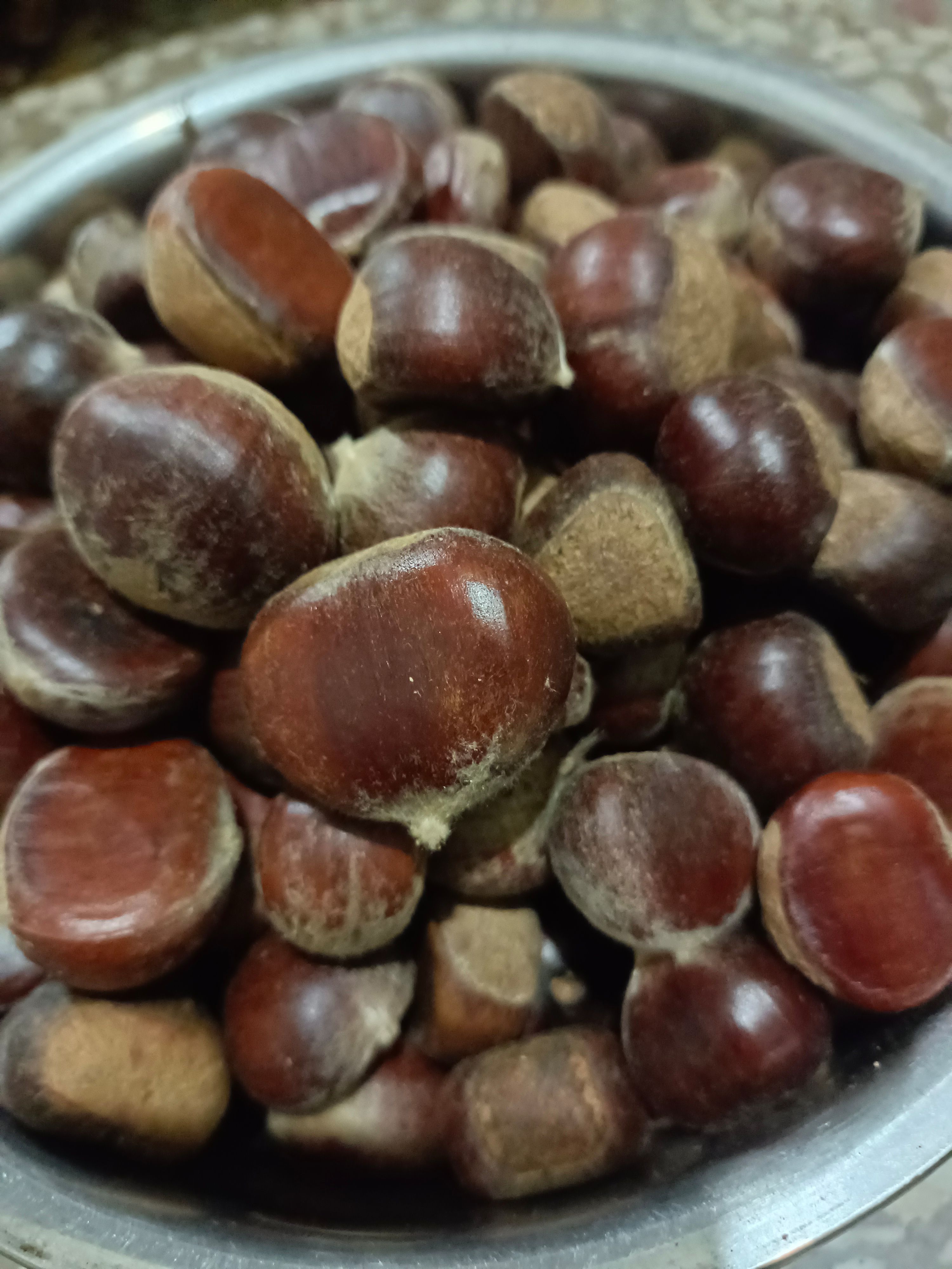 油栗  镇安大板栗