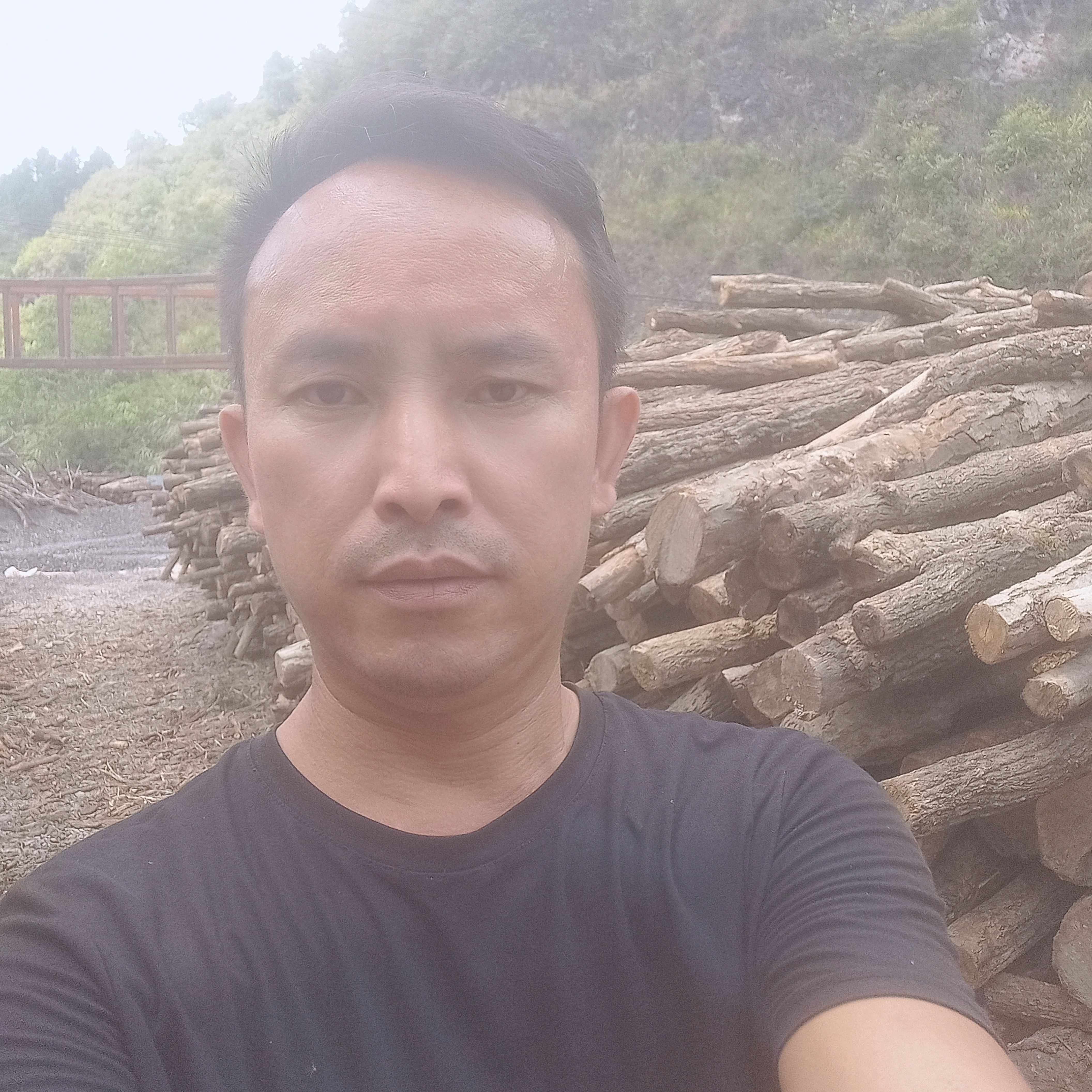 青冈木炭
谢谢老客户的关注