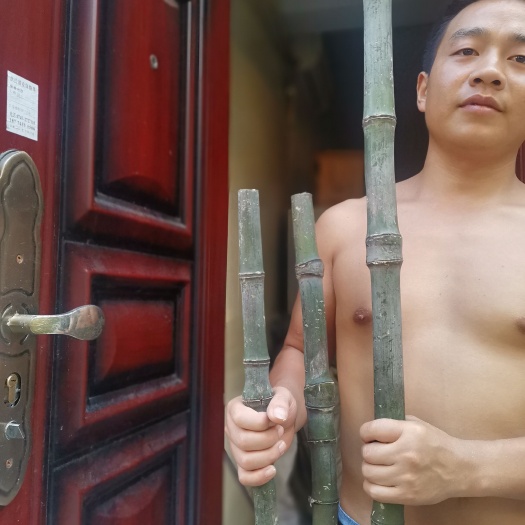 会同县竹子  出售高品质实心玉竹。有需要请联系我